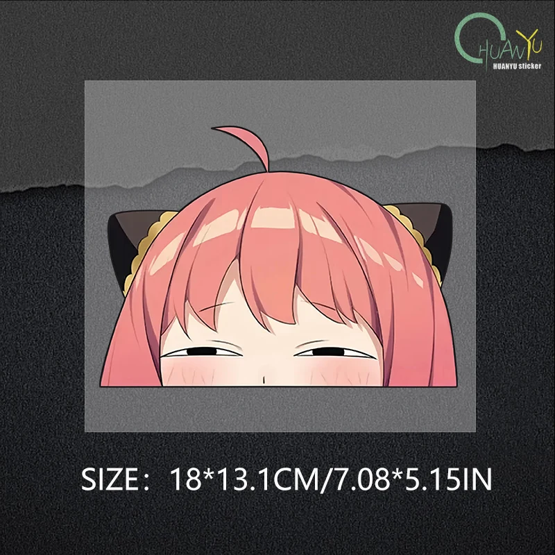 Ania Fujie Spies' Homecoming Head Facial Bag Body Door Sticker anime Creative Reflective Sticker