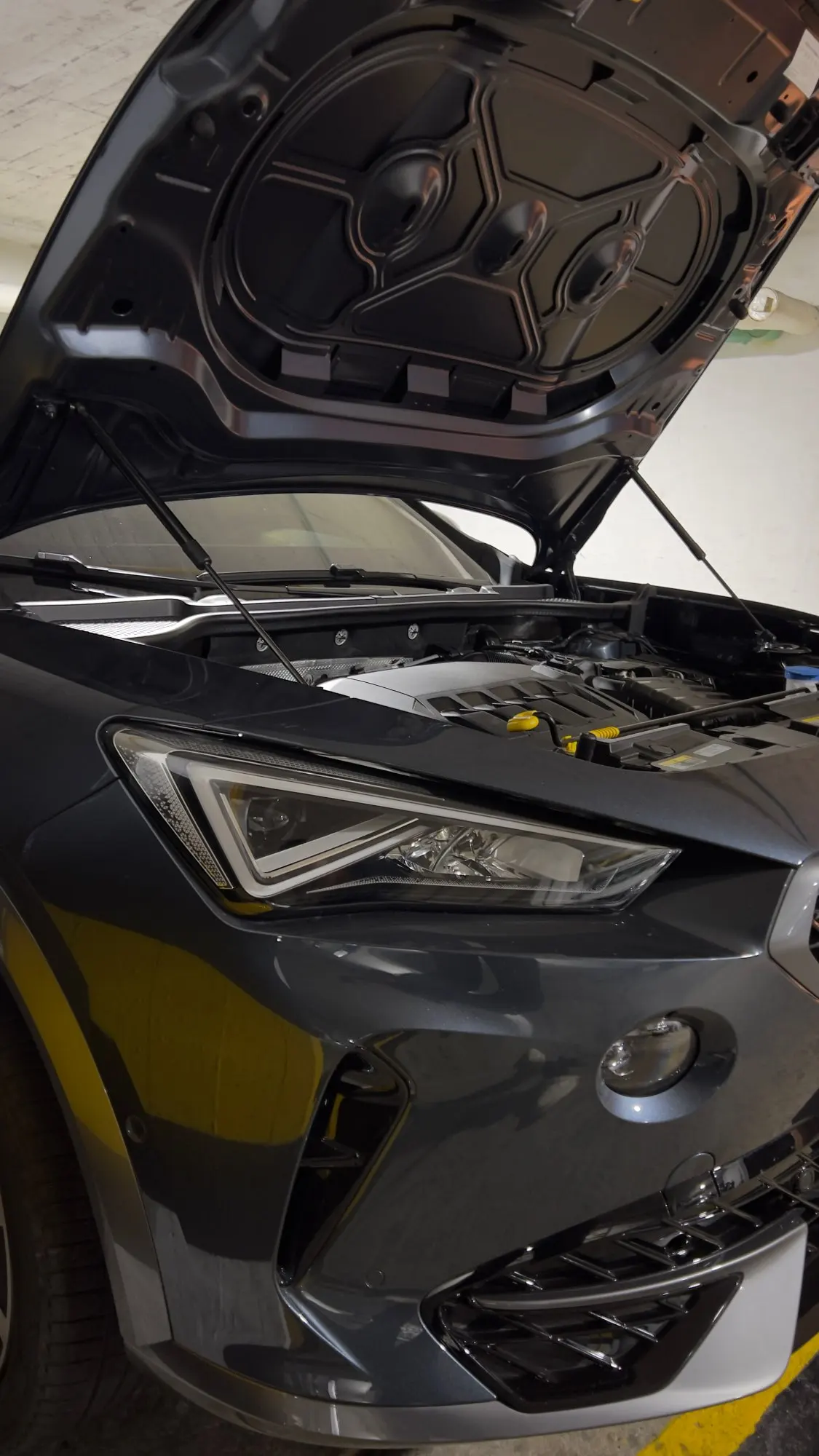 Hood Dampers For Cupra Formentor 2020-2025 Front Bonnet Modify Gas Struts Lift Supports Shock Piston Rod Cylinders Verin Pillar