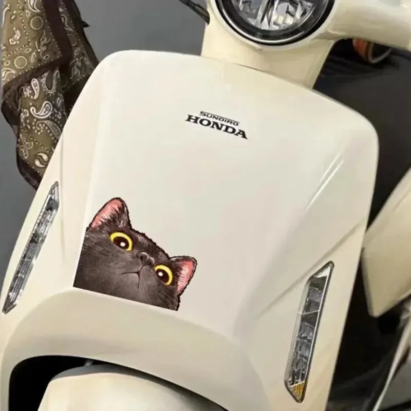 Probe Cat Creative Expression Car Stickers Electric Motorcycle Body Triangle Window Luggage Laptop Stickers Fun Car Stickers