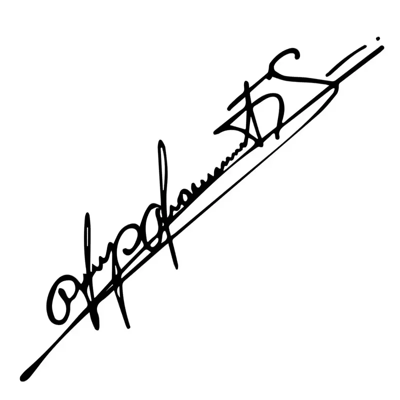 Car Sticker Personalized Schumacher Art Signature Lamp Eyebrows Die-Cut Auto Parts Decoration Vinyl Decals,30CM