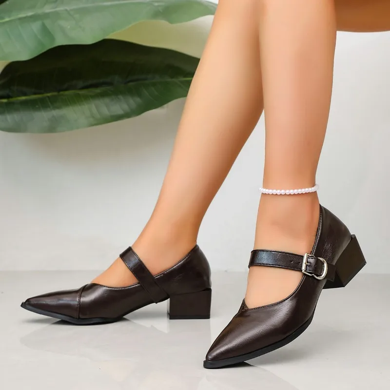Designer Vintage Pointed Toe Women Mary Jane Shoes Fashion Shallow Buckle Shoes Spring Ladies Elegant Dress Thick Heel Shoes