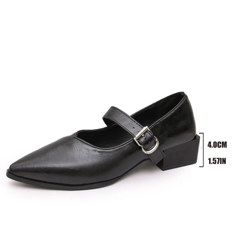 Designer Vintage Pointed Toe Women Mary Jane Shoes Fashion Shallow Buckle Shoes Spring Ladies Elegant Dress Thick Heel Shoes