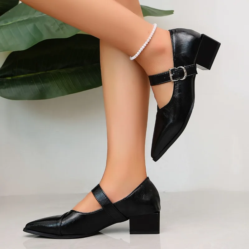 Designer Vintage Pointed Toe Women Mary Jane Shoes Fashion Shallow Buckle Shoes Spring Ladies Elegant Dress Thick Heel Shoes