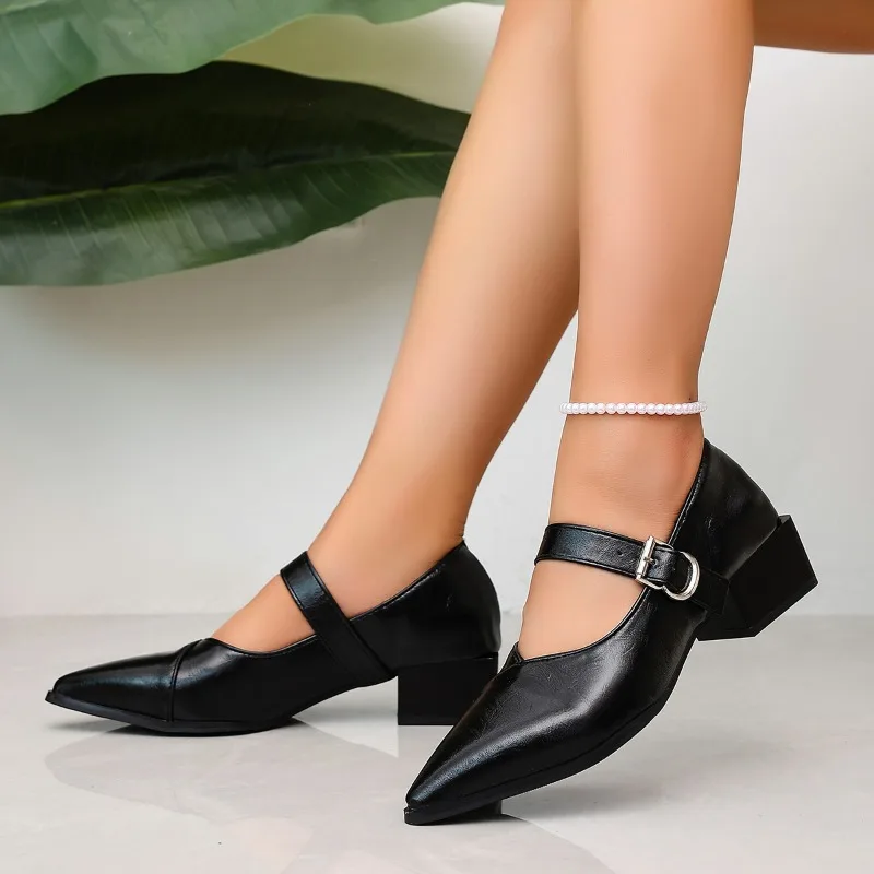 Designer Vintage Pointed Toe Women Mary Jane Shoes Fashion Shallow Buckle Shoes Spring Ladies Elegant Dress Thick Heel Shoes