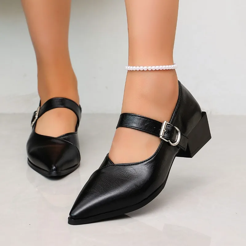Designer Vintage Pointed Toe Women Mary Jane Shoes Fashion Shallow Buckle Shoes Spring Ladies Elegant Dress Thick Heel Shoes