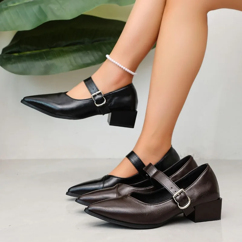 Designer Vintage Pointed Toe Women Mary Jane Shoes Fashion Shallow Buckle Shoes Spring Ladies Elegant Dress Thick Heel Shoes