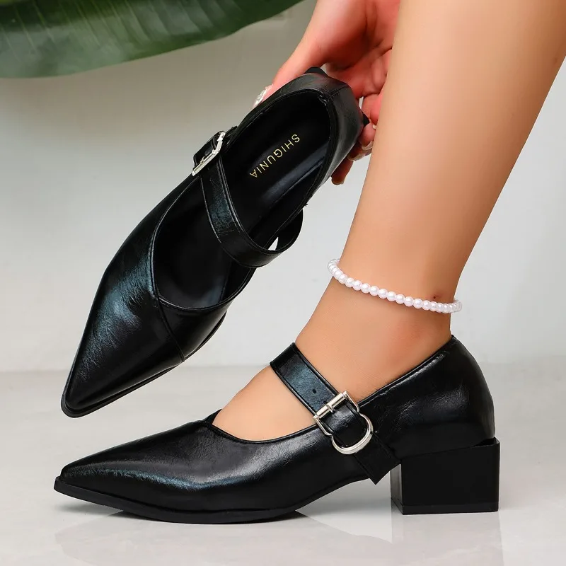 Designer Vintage Pointed Toe Women Mary Jane Shoes Fashion Shallow Buckle Shoes Spring Ladies Elegant Dress Thick Heel Shoes