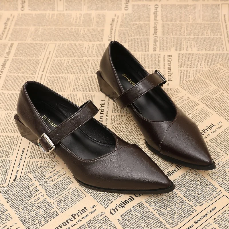 Designer Vintage Pointed Toe Women Mary Jane Shoes Fashion Shallow Buckle Shoes Spring Ladies Elegant Dress Thick Heel Shoes