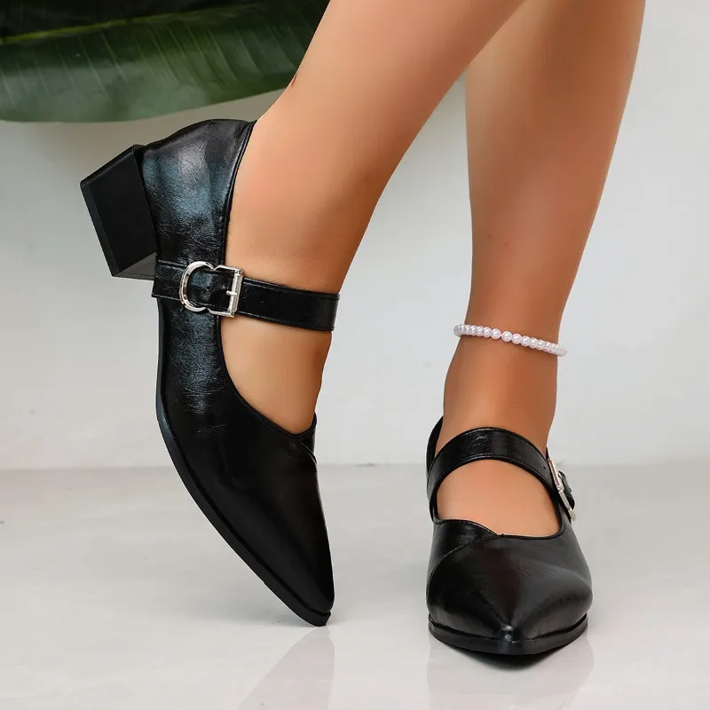 Designer Vintage Pointed Toe Women Mary Jane Shoes Fashion Shallow Buckle Shoes Spring Ladies Elegant Dress Thick Heel Shoes