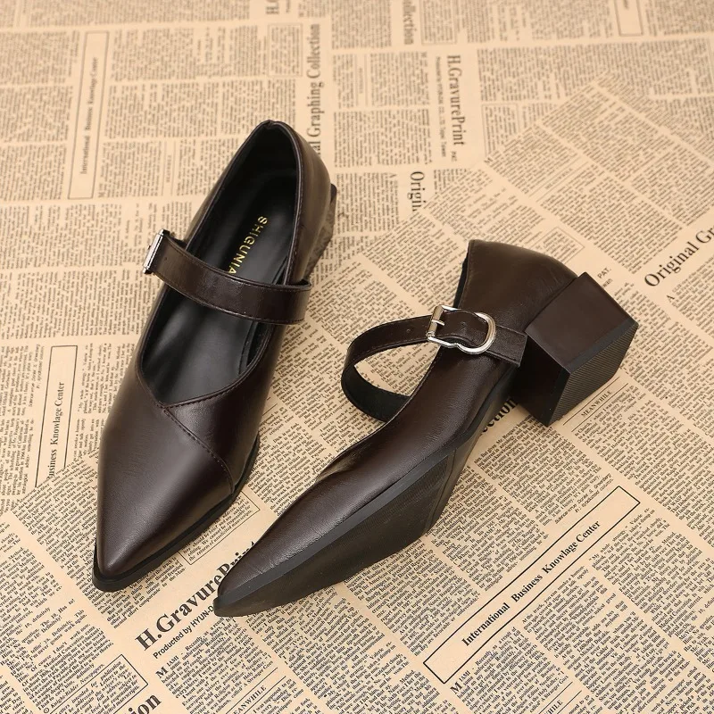 Designer Vintage Pointed Toe Women Mary Jane Shoes Fashion Shallow Buckle Shoes Spring Ladies Elegant Dress Thick Heel Shoes