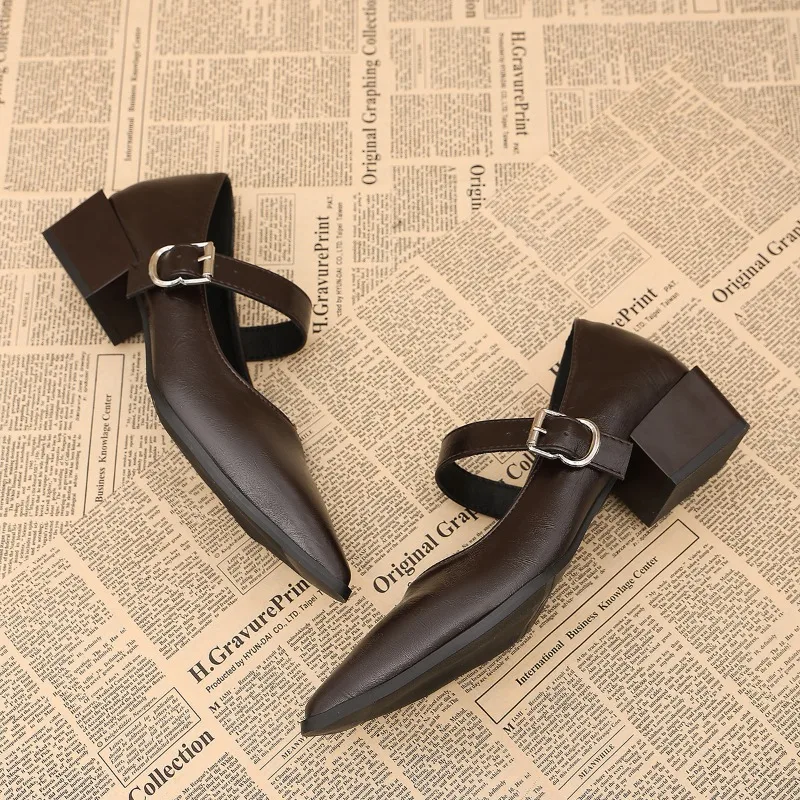 Designer Vintage Pointed Toe Women Mary Jane Shoes Fashion Shallow Buckle Shoes Spring Ladies Elegant Dress Thick Heel Shoes