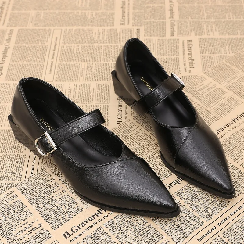 Designer Vintage Pointed Toe Women Mary Jane Shoes Fashion Shallow Buckle Shoes Spring Ladies Elegant Dress Thick Heel Shoes