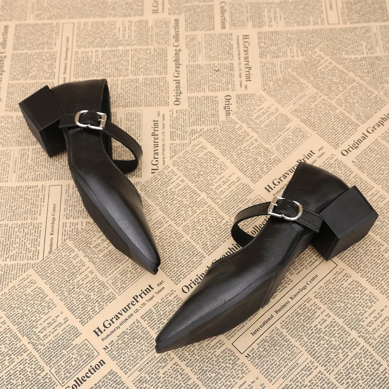Designer Vintage Pointed Toe Women Mary Jane Shoes Fashion Shallow Buckle Shoes Spring Ladies Elegant Dress Thick Heel Shoes