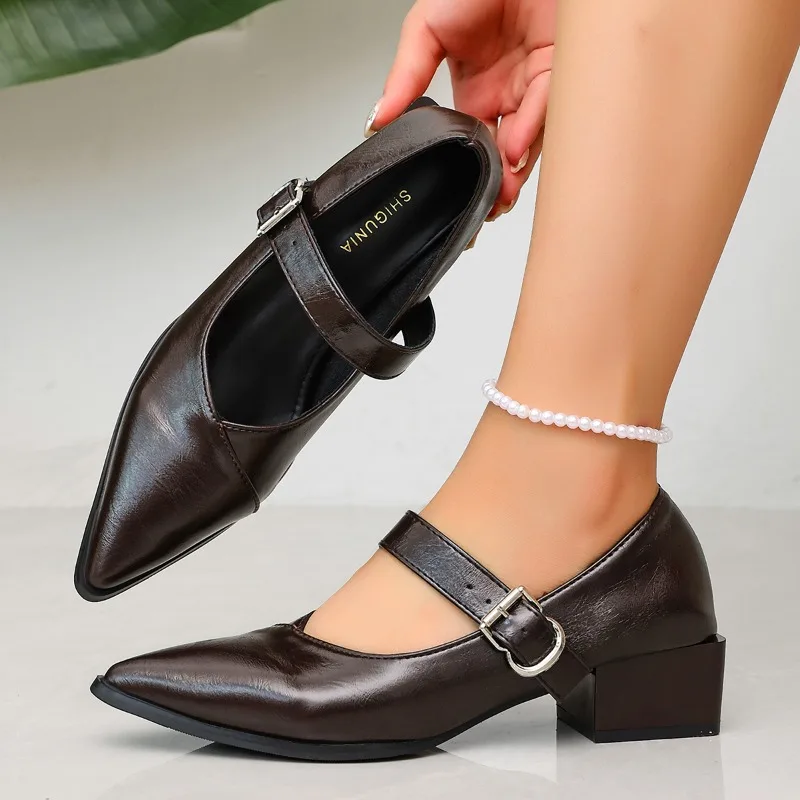 Designer Vintage Pointed Toe Women Mary Jane Shoes Fashion Shallow Buckle Shoes Spring Ladies Elegant Dress Thick Heel Shoes
