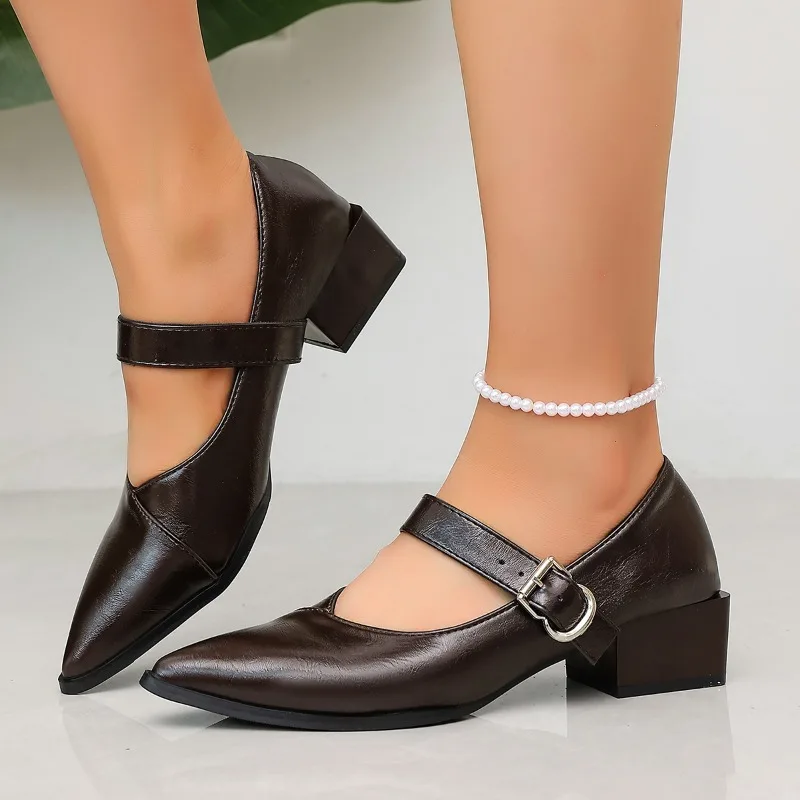 Designer Vintage Pointed Toe Women Mary Jane Shoes Fashion Shallow Buckle Shoes Spring Ladies Elegant Dress Thick Heel Shoes