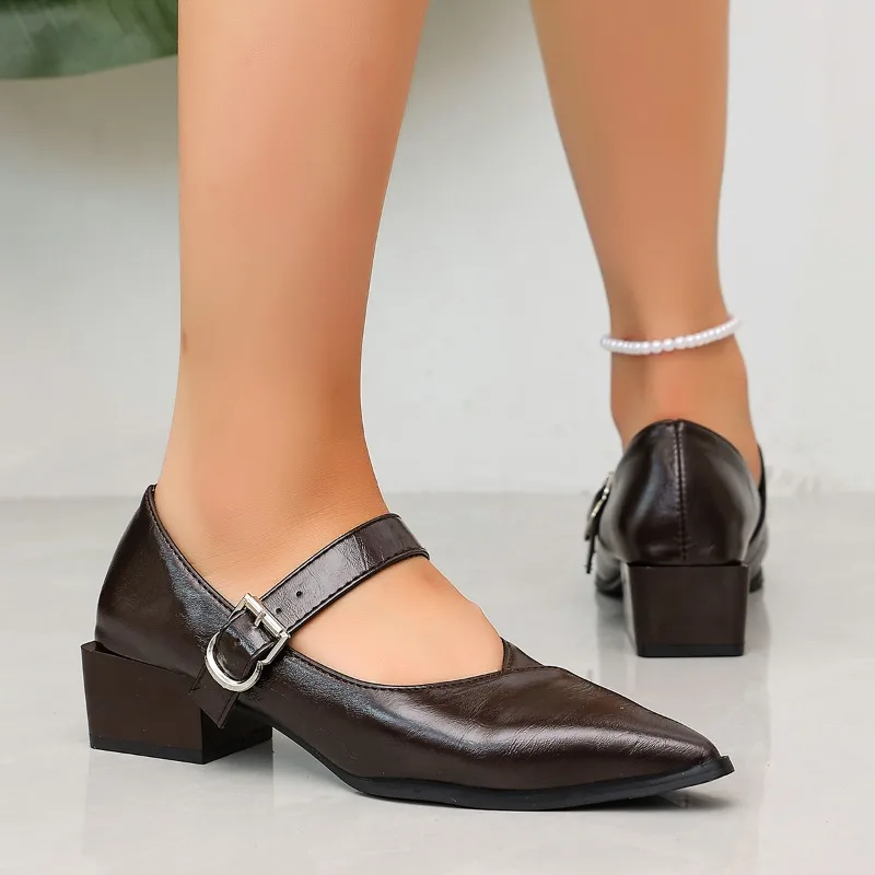 Designer Vintage Pointed Toe Women Mary Jane Shoes Fashion Shallow Buckle Shoes Spring Ladies Elegant Dress Thick Heel Shoes
