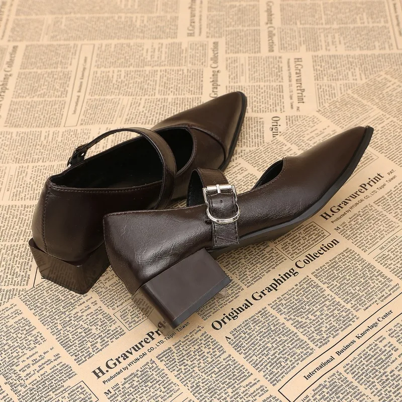 Designer Vintage Pointed Toe Women Mary Jane Shoes Fashion Shallow Buckle Shoes Spring Ladies Elegant Dress Thick Heel Shoes