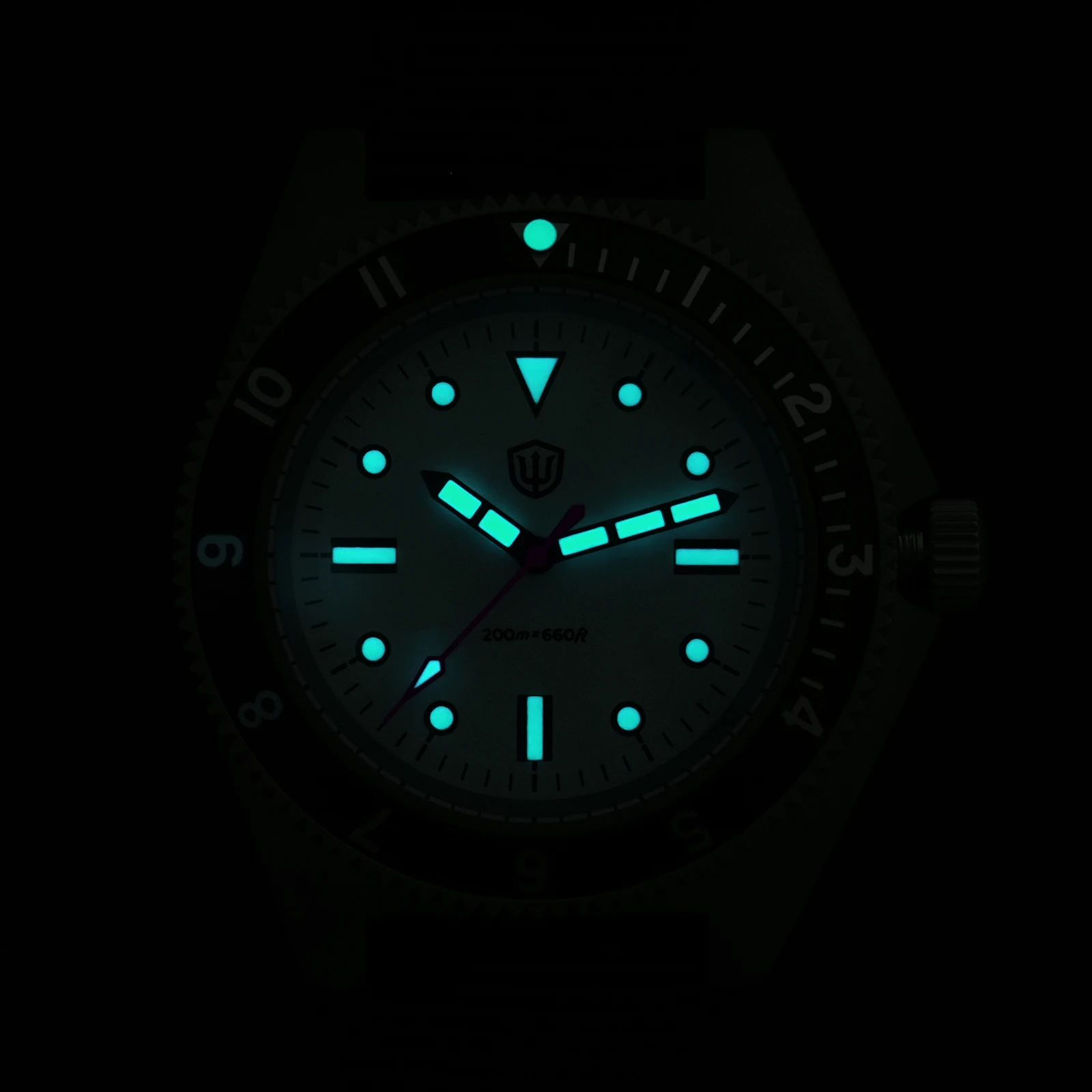 Watchdives WD1972 Quartz Watch VH31 Sweep Seconds Movement Sapphire Crystal BGW9 Luminous 20Bar Waterproof Wristwatch