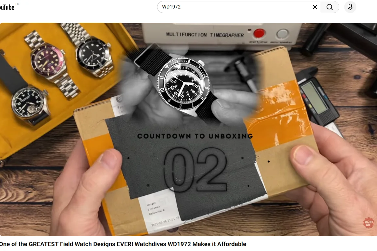 Watchdives WD1972 Quartz Watch VH31 Sweep Seconds Movement Sapphire Crystal BGW9 Luminous 20Bar Waterproof Wristwatch