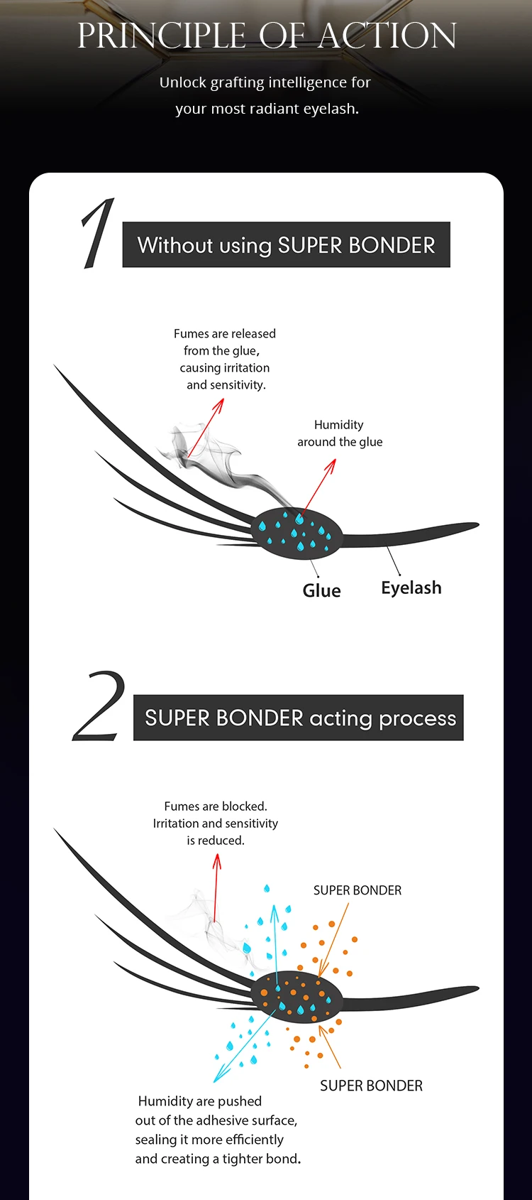 Gollee All Season Glue for Lash Extension 0.5s Fast Drying Strong Glue Stick False Eyelash 6-8 Weeks Waterproof Adhesive Makeup