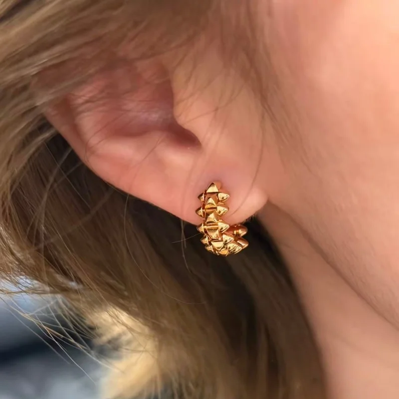 925 Silver Gold-Plated Women's Willow Nail Earrings Fashionable Classic Luxurious Exquisite Jewelry for Ladies