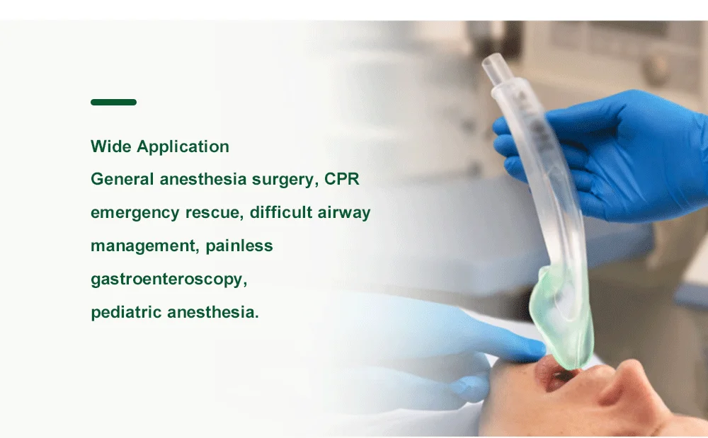 Califed TPE Non-inflatable Laryngeal Mask Airway Compatible With Igel Sterilized LMA Emergency Supraglottic Airway Device