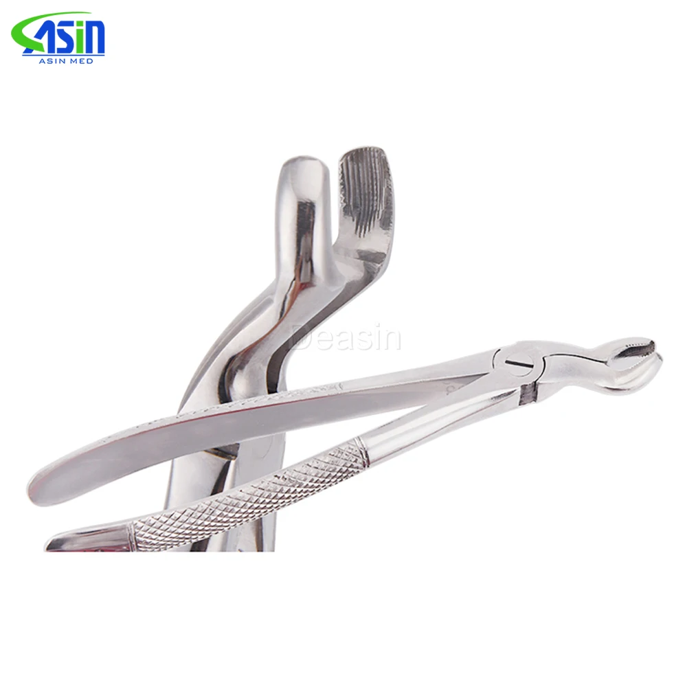 DEAISN 10pcs/set Adult Tooth Extracting Forceps Dental Surgical Extraction Instrument