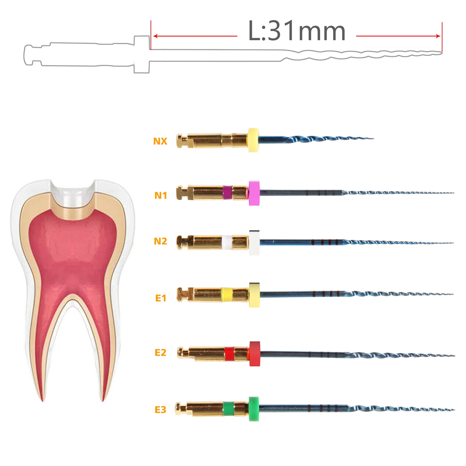 6pcs/1Pack Dental Endo Files Endodontic NiTi Rotary Root Canal Reciprocating File 21/25/31mm Machine Use for Shaping & Cleaning