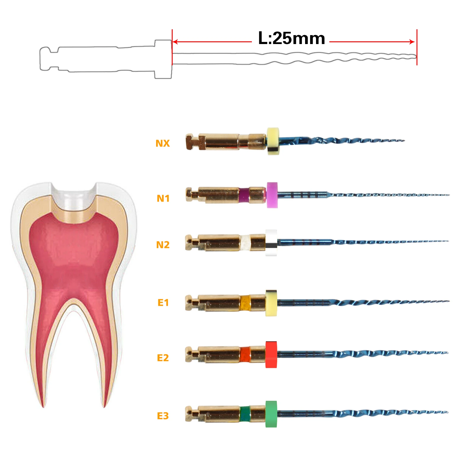6pcs/1Pack Dental Endo Files Endodontic NiTi Rotary Root Canal Reciprocating File 21/25/31mm Machine Use for Shaping & Cleaning