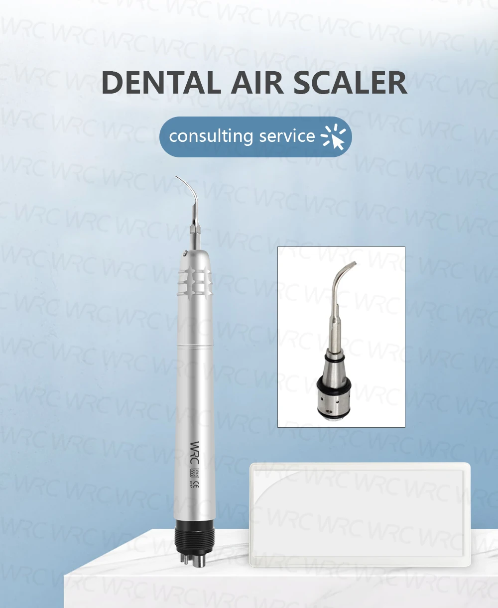 Dental Air Scaler Handpiece 2/4 Holes with G1 G2 G3 Tips 17000Hz Pneumatic Tooth Cleaning Tool for Dental Clinic Dentist Use
