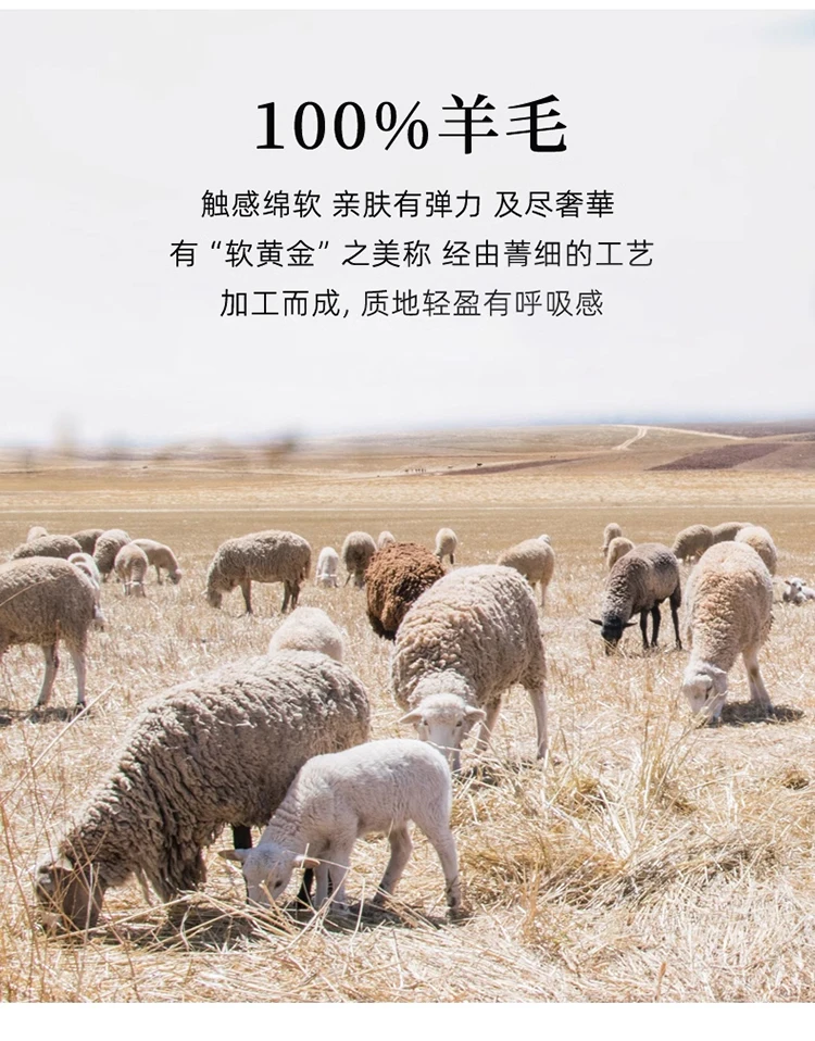 Men's 100% Pure Wool High Collar Knitted Wool Sweater Winter Pullover Large Size High end Loose Leisure Versatile Base Sweater