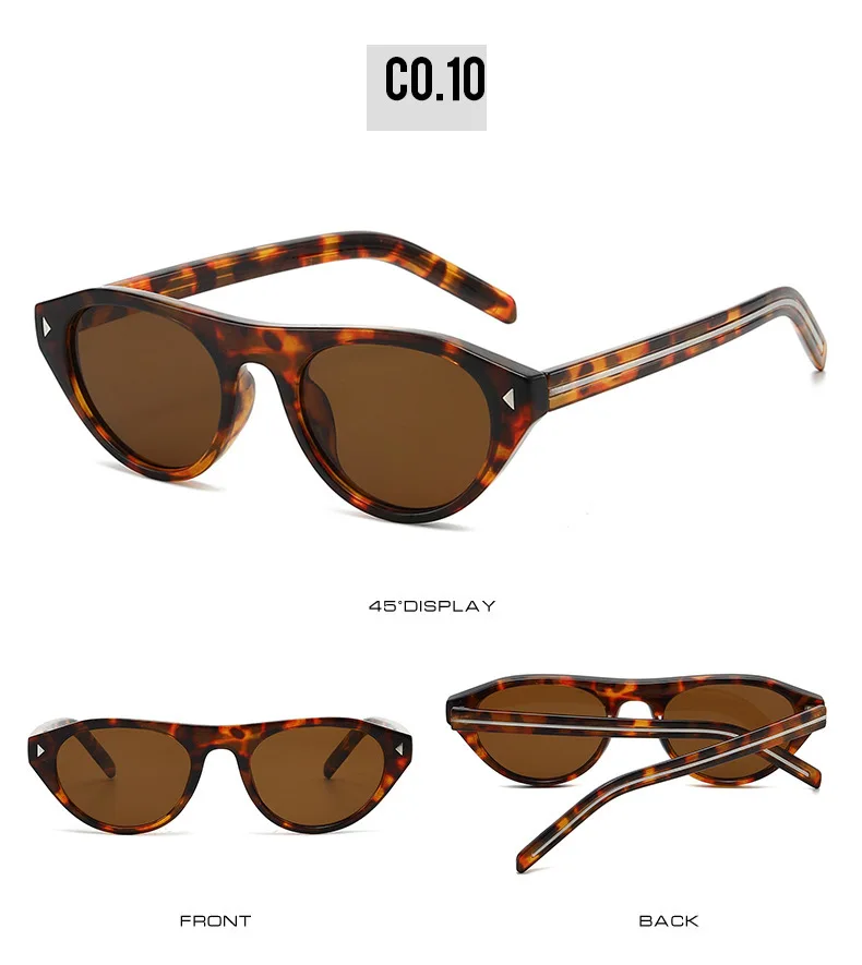 2026 New Hot Small Cat Eye Sunglasses for Women Vintage Triangle Rivet Cateye Sun Glasses Ladies Elegant Leopard Black Shades