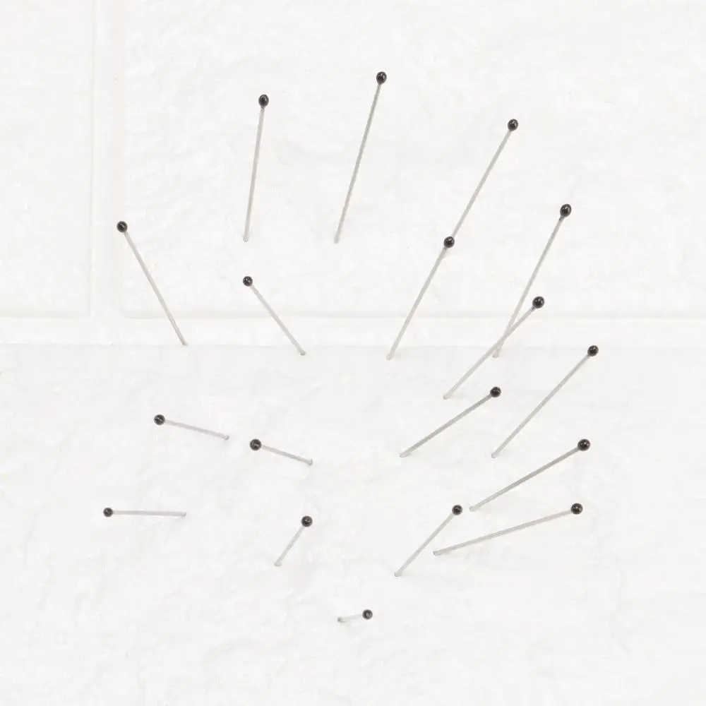 100Pcs Stainless Steel Specimen Needle Insect Pins With Plastic Box For School Lab Education Entomology Body Dissection