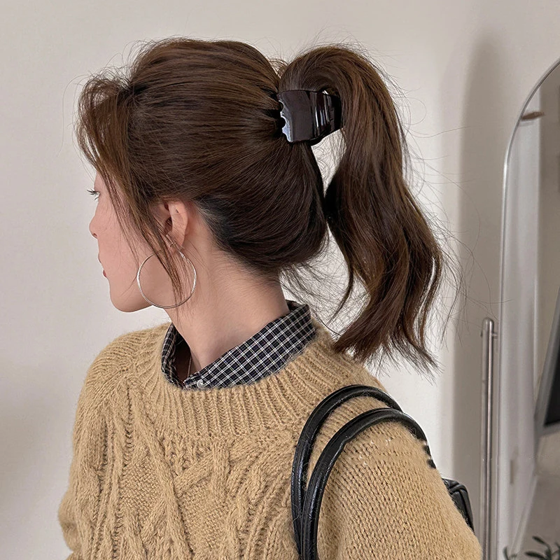 High ponytail with hair clips, updo, shark clips, half-up hairpins
