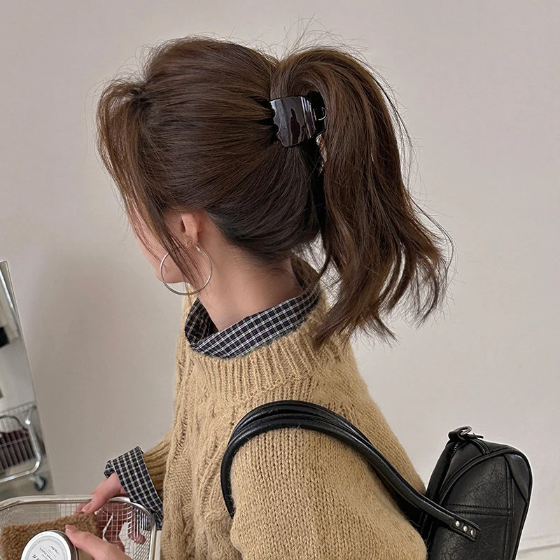 High ponytail with hair clips, updo, shark clips, half-up hairpins