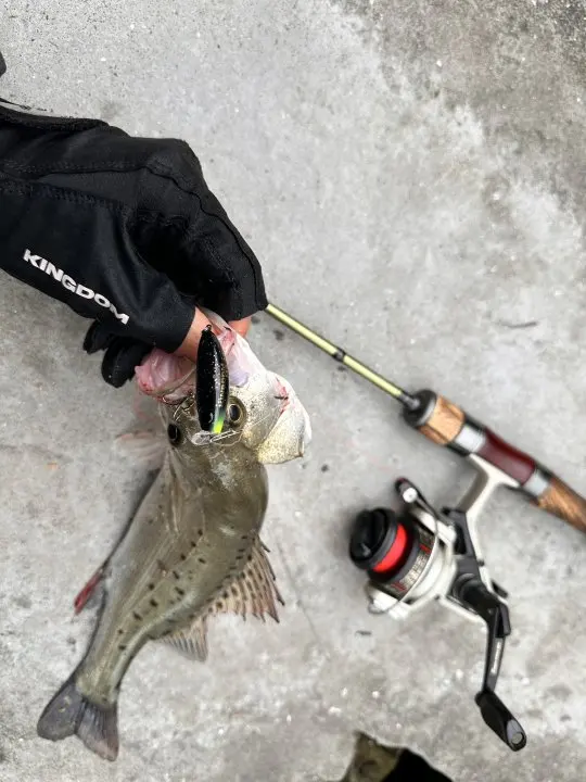 Kingdom Fishing Rods STREAM KING Ultralight 62g Spinning Casting 1.45 1.65 1.39 1.53m UL Baitcasting Travel Stream Fishing Rod