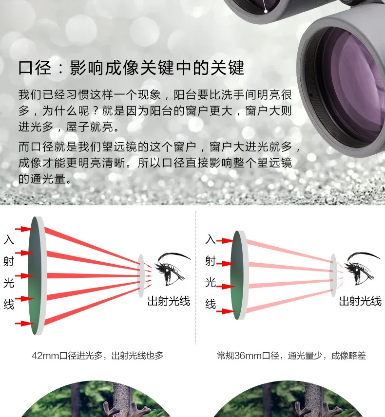 Germany BRESSER Zhengtu ED series binoculars for bird watching concert outdoor binoculars 8X34ED 10X34ED 8X42ED 10X42ED 8X56ED