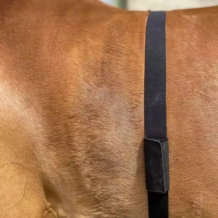 FITCENT Horse Heart Rate Monitor Tracker Monitoring Heart Rate Horse Band Belt for Equestrian