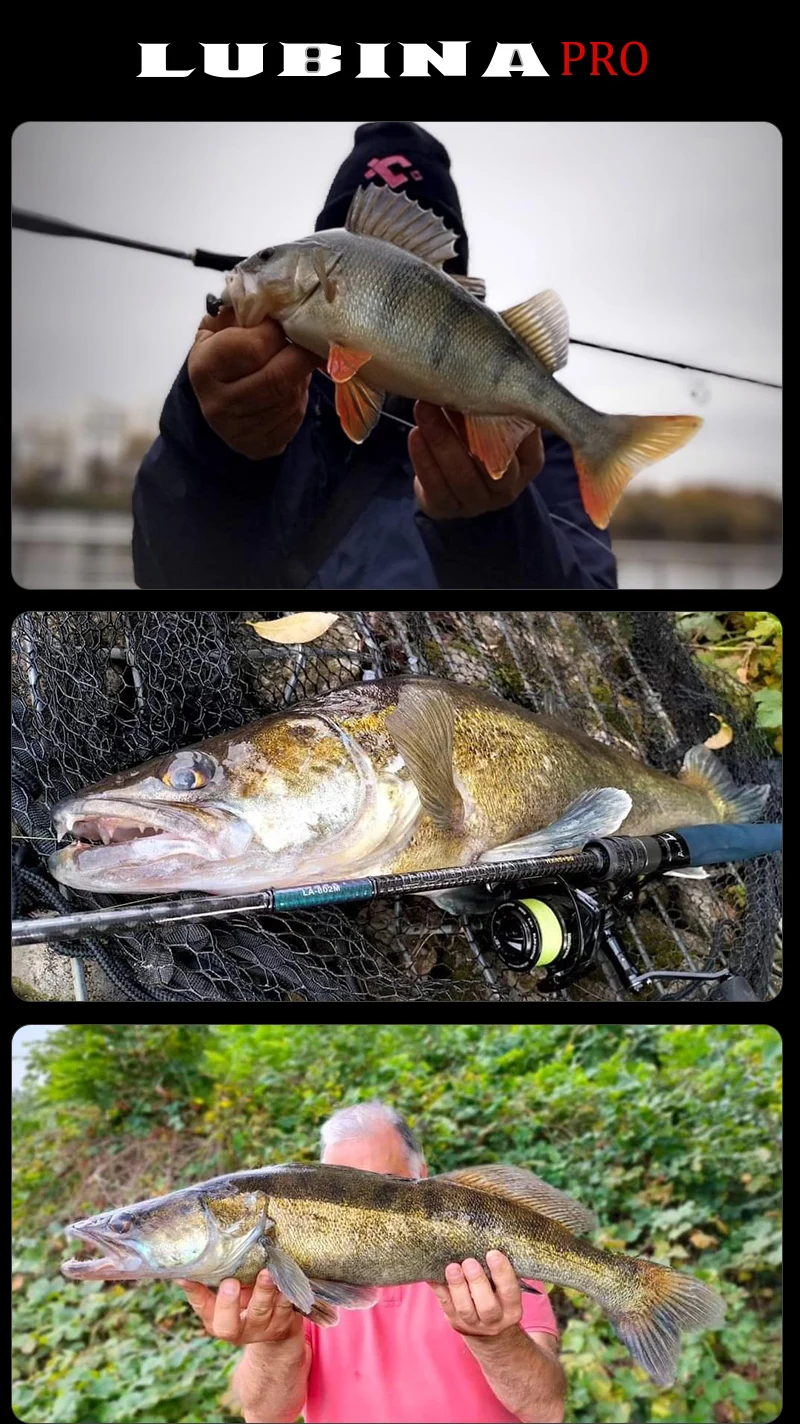 PURELURE New LUBINA Pro Spinning Rod For Bass High Carbon Long Throwing Fishing Rod In FUJI Accessories, Plus Spinning Reel