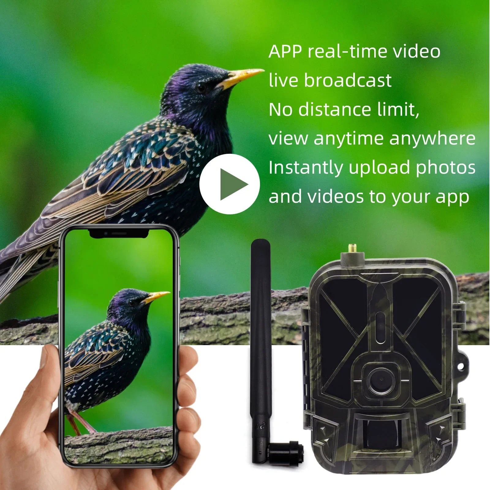 Night Vision Hunting Camera 4G Tracking with App Control 8000mAh Li-Battery 120° Detection Cloud Service Wireless Game Scout Cam