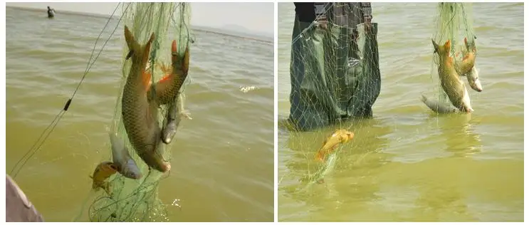 Finefish 100m Hunting Fishing Net 3 Layers Monofilament Fish Network With Float Outdoor Catch Fish Gillnet Trap Fishing Gear