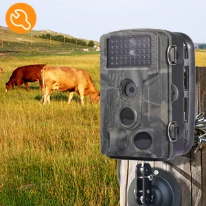 Wildlife Trail Camera 1080P Night Vision 20M Infrared High Definition Wireless Hunting Camera with Tracking Function HC802A