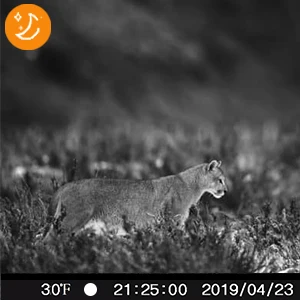 Wildlife Trail Camera 1080P Night Vision 20M Infrared High Definition Wireless Hunting Camera with Tracking Function HC802A