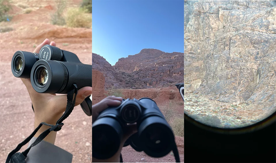 Svbony SV202 8X32/8x42/10x42/10x50 ED Binoculars IPX7 Magnesium Alloy Body BaK4 Binoculars Highy Qualit for Stargazing Camping