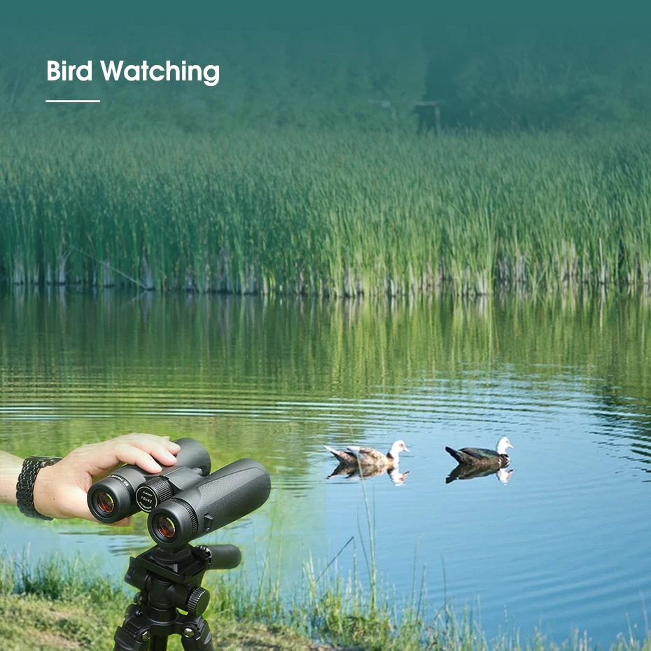 Svbony SV202 8X32/8x42/10x42/10x50 ED Binoculars IPX7 Magnesium Alloy Body BaK4 Binoculars Highy Qualit for Stargazing Camping