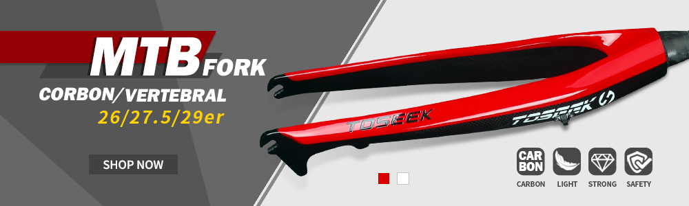 TOSEEK TFK-SL Carbon Fork 26ER/27.5ER/29ER Straight Tube Mtb Bicycle Front Fork Garfo Carbono 700c Mtb Fork 29