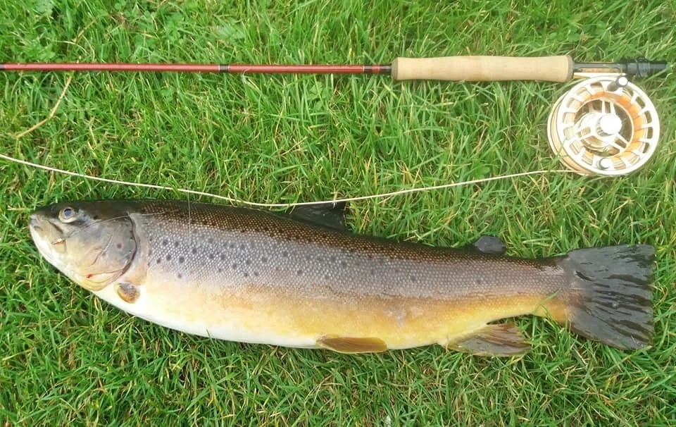 Maximumcatch V-Gold 9FT Fly Fishing Rod 4/5/6/8 WT 4Pcs Fast Action Pacbay Guides Fly Rod with a Triangle Rod Tube