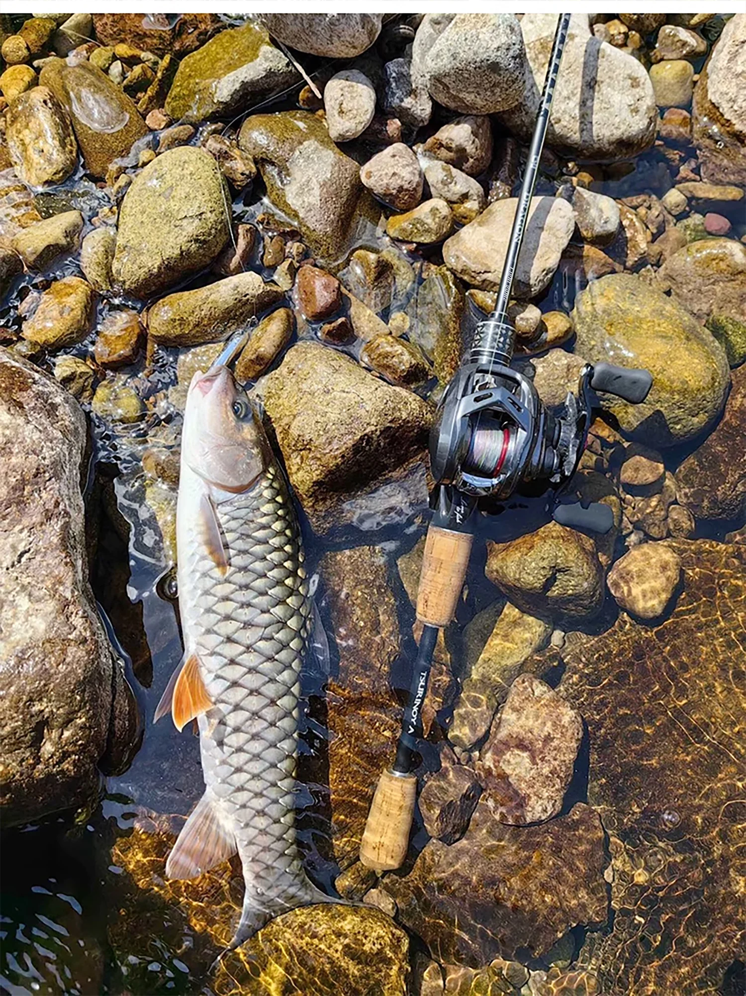 TSURINOYA Light Game Spinning Fishing Rod DRAGON 1.6m 1.8m UL Power Fast Action FUJI Guide Light Game Trout Ajing Stream Rod