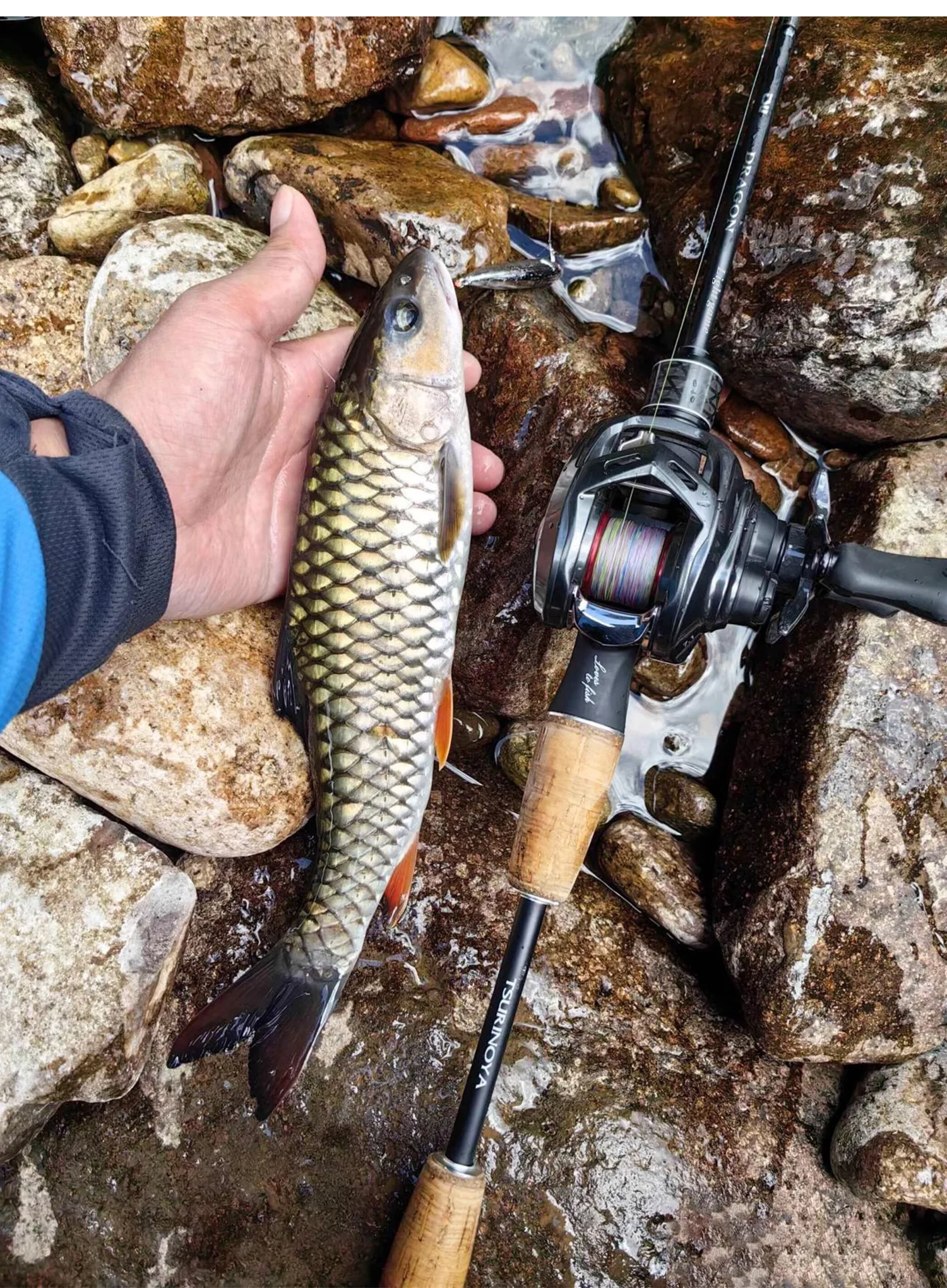 TSURINOYA Light Game Spinning Fishing Rod DRAGON 1.6m 1.8m UL Power Fast Action FUJI Guide Light Game Trout Ajing Stream Rod
