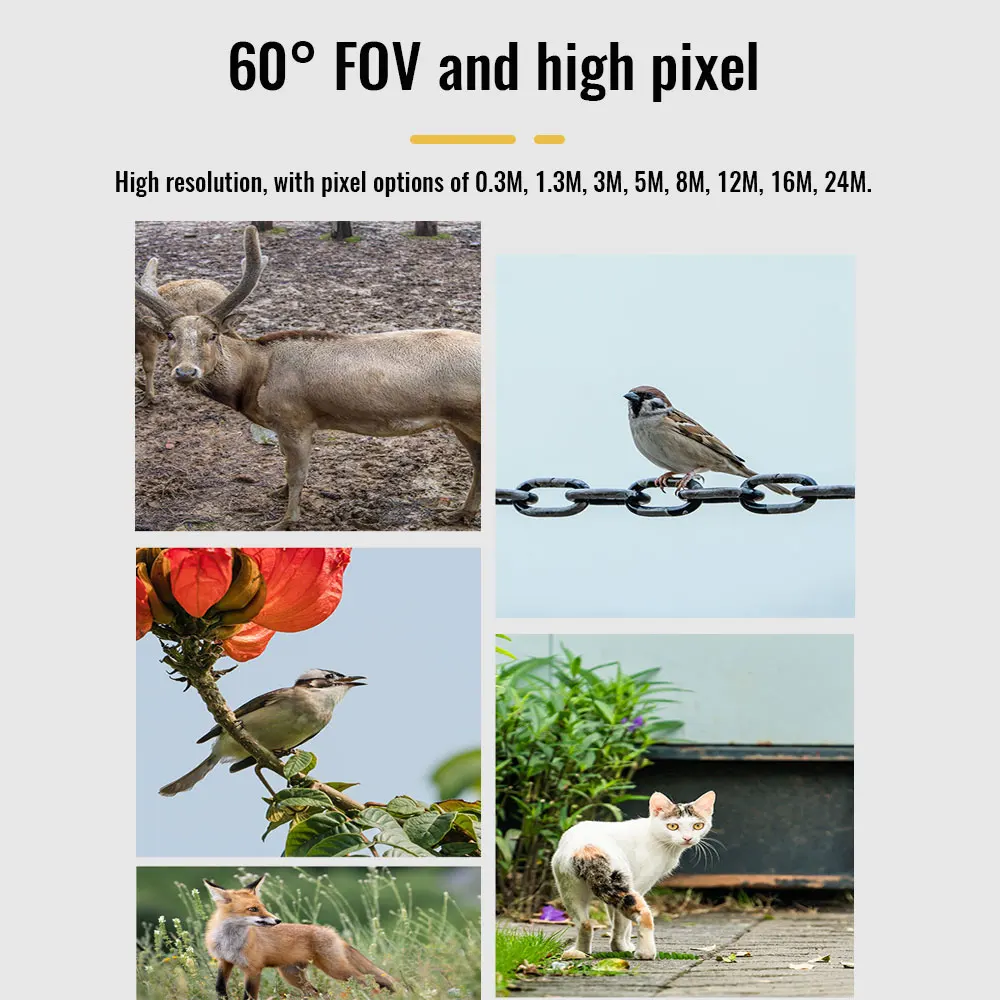 Hunting Trail Camera 16MP 1080P 940nm Infrared Night Vision Motion Activated Trigger Security Cam Outdoor Wildlife Photo Traps
